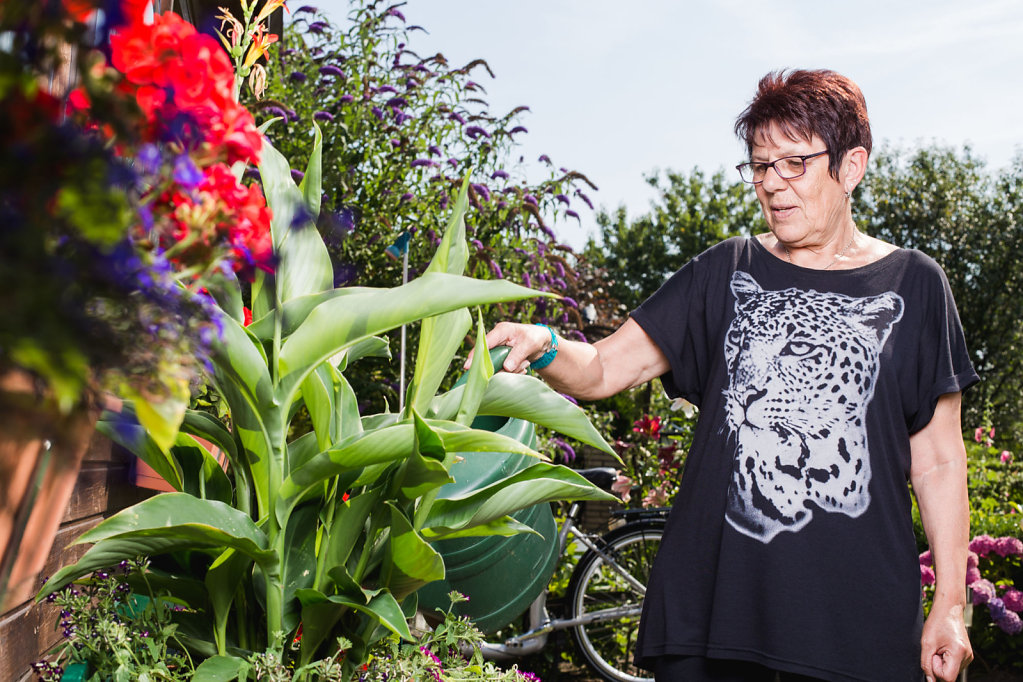 freies Projekt: die Gartenzwerg-Vereinigung